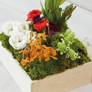 Jardin de Fleurs by Olive and Cocoa