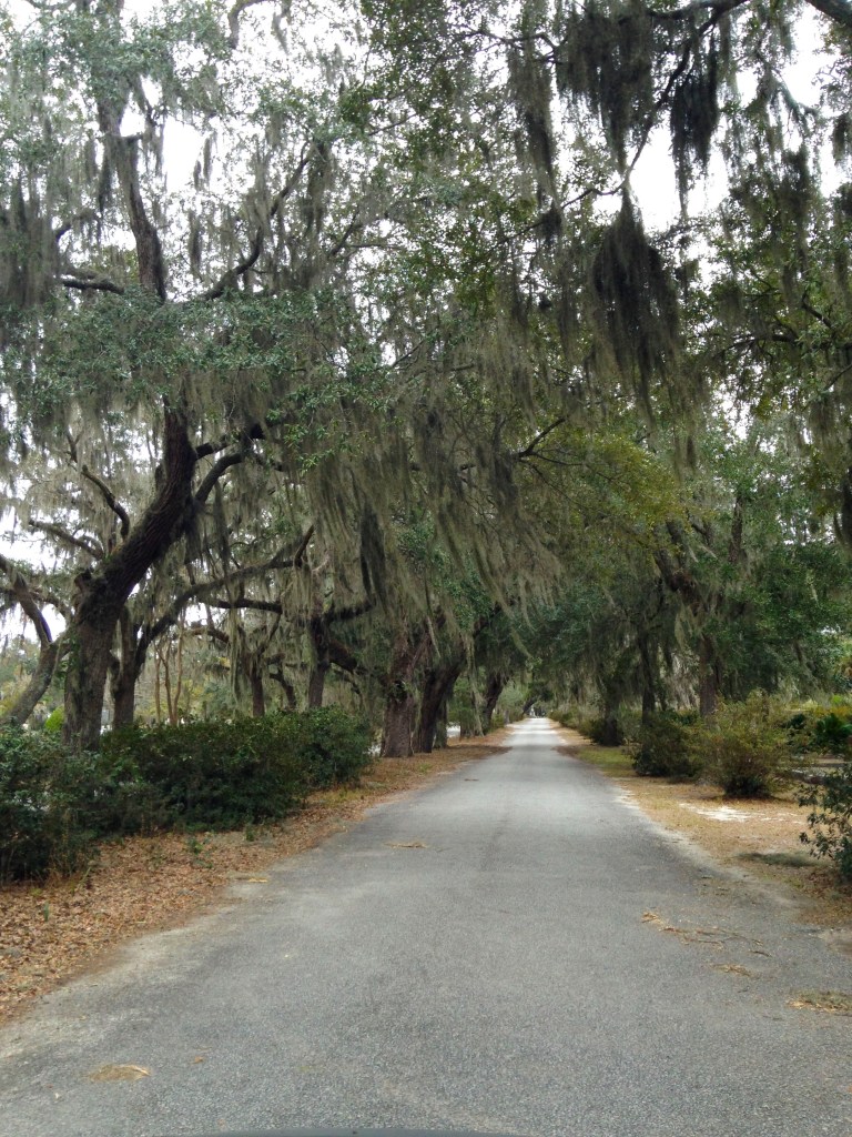 To be visited in the daytime only.