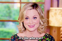 tumblr_nmp1a0ZHGm1t3ml1po1_250